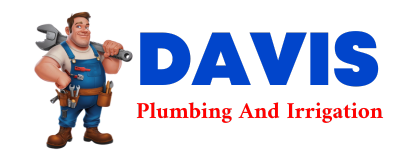 Trusted plumber in CARPENTER